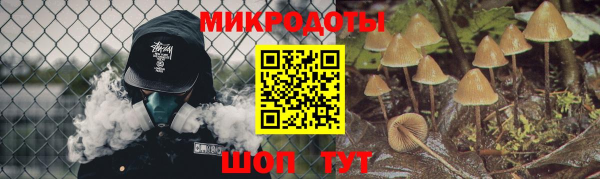 Псилоцибиновые грибы Cubensis Карпинск